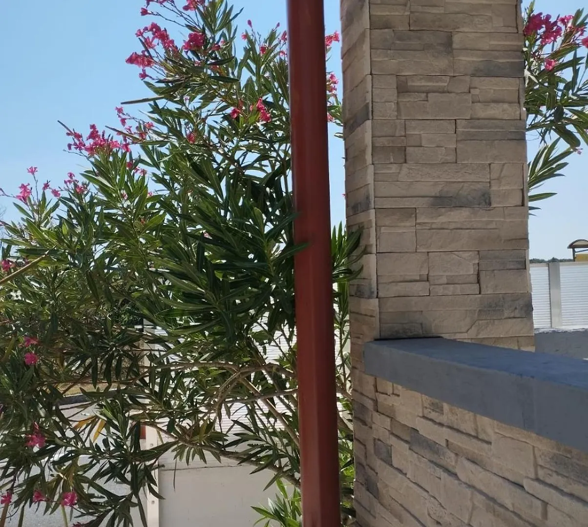 Apartman Vts بوسيدارجي 0*,